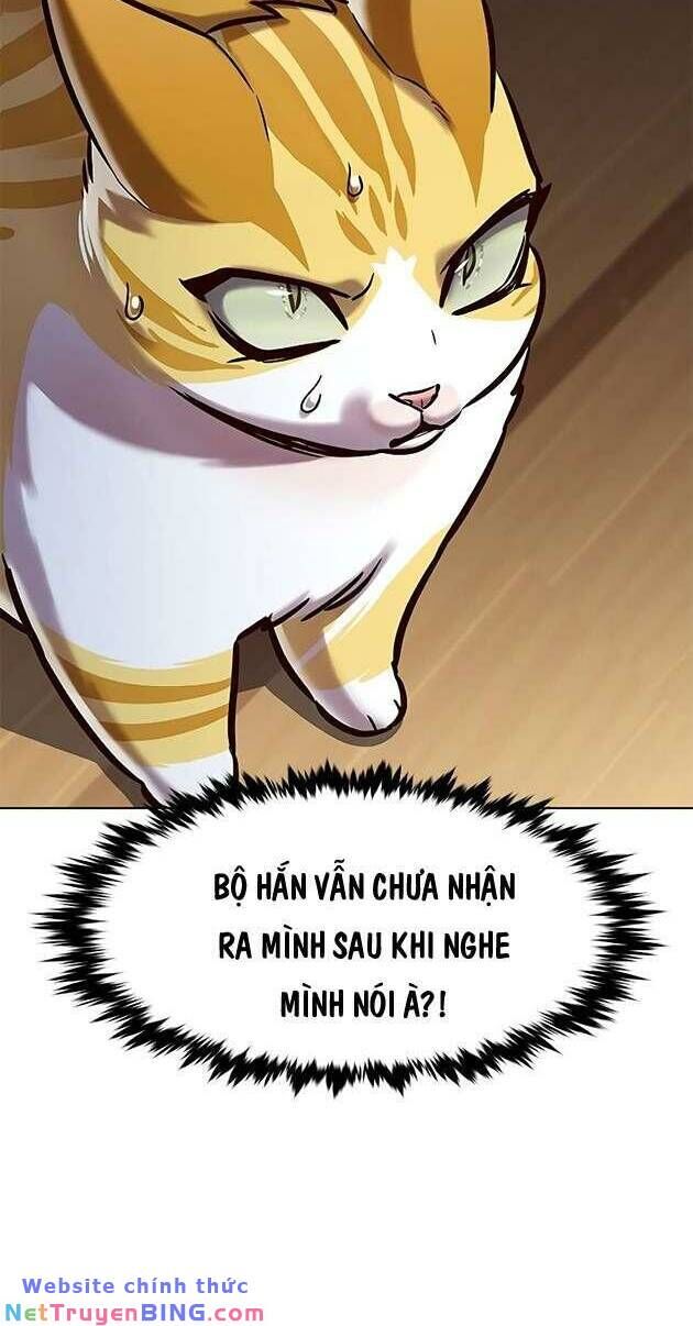 Hoá Thân Thành Mèo Chap 278 - Next Chap 279