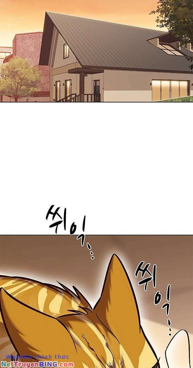 Hoá Thân Thành Mèo Chap 278 - Next Chap 279