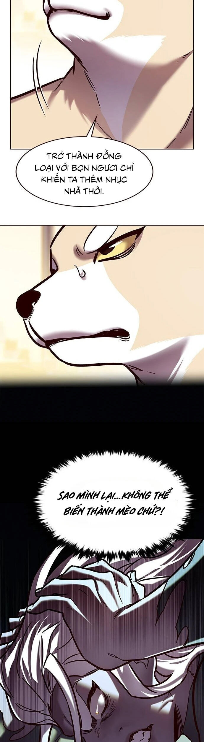 Hoá Thân Thành Mèo Chap 279 - Next Chap 280