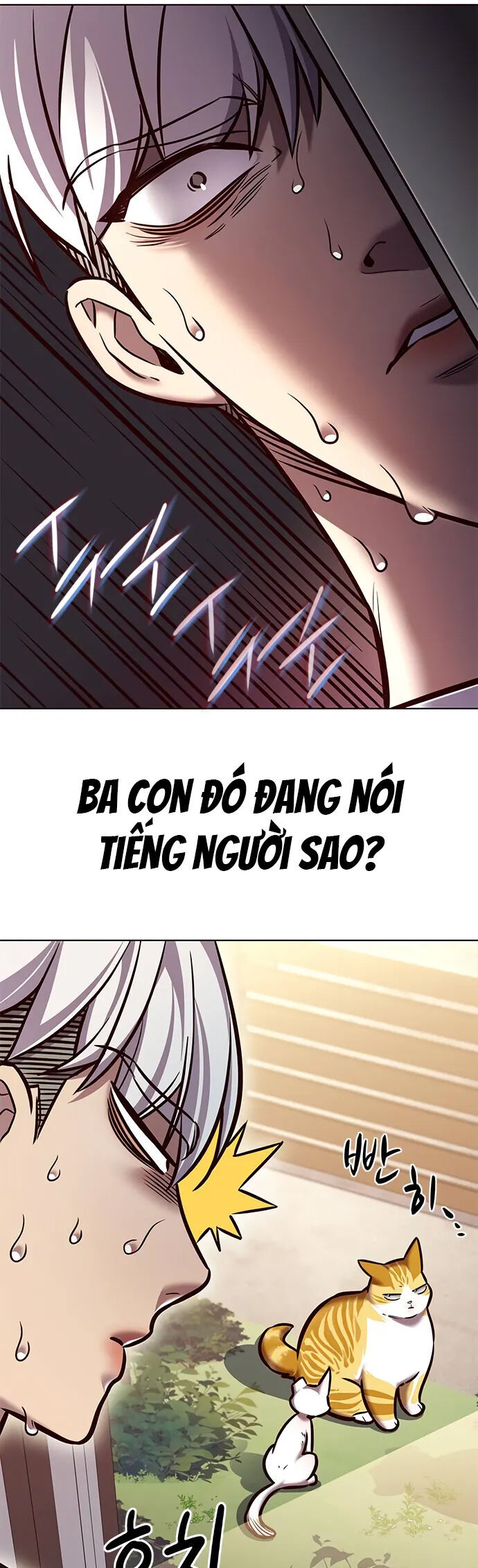 Hoá Thân Thành Mèo Chap 280 - Next Chap 281