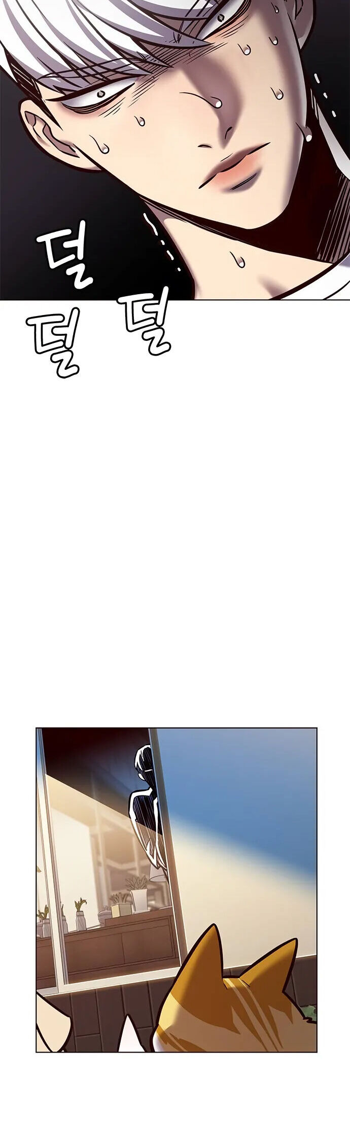 Hoá Thân Thành Mèo Chap 280 - Next Chap 281