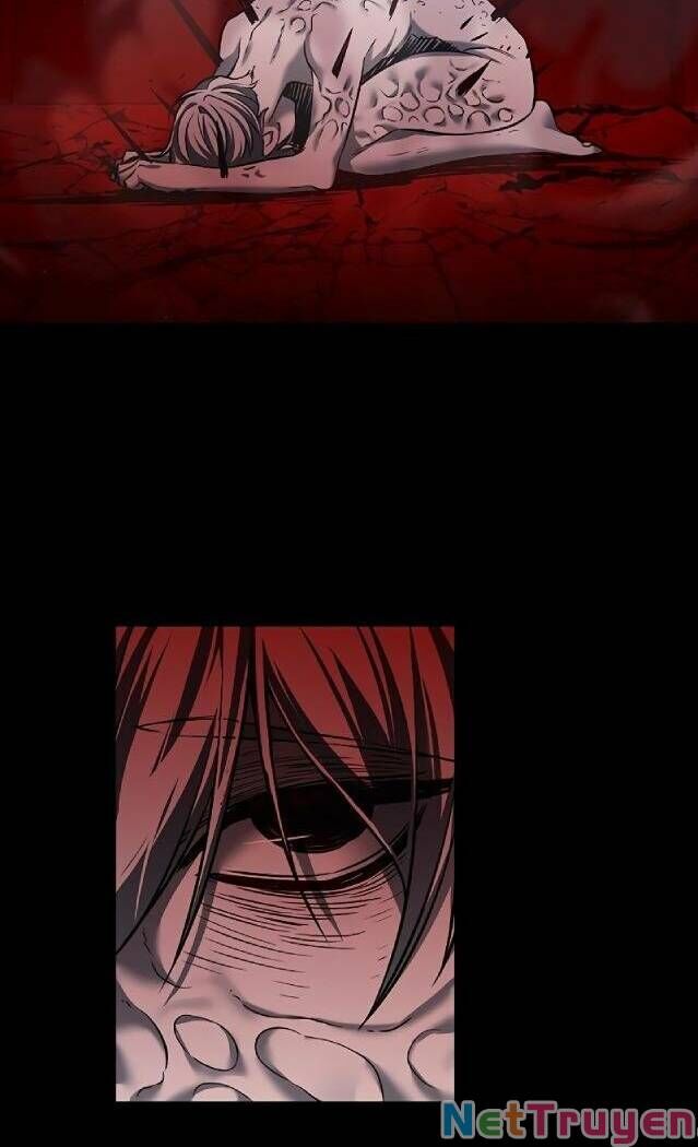 Hoá Thân Thành Mèo Chap 238 - Next Chap 239