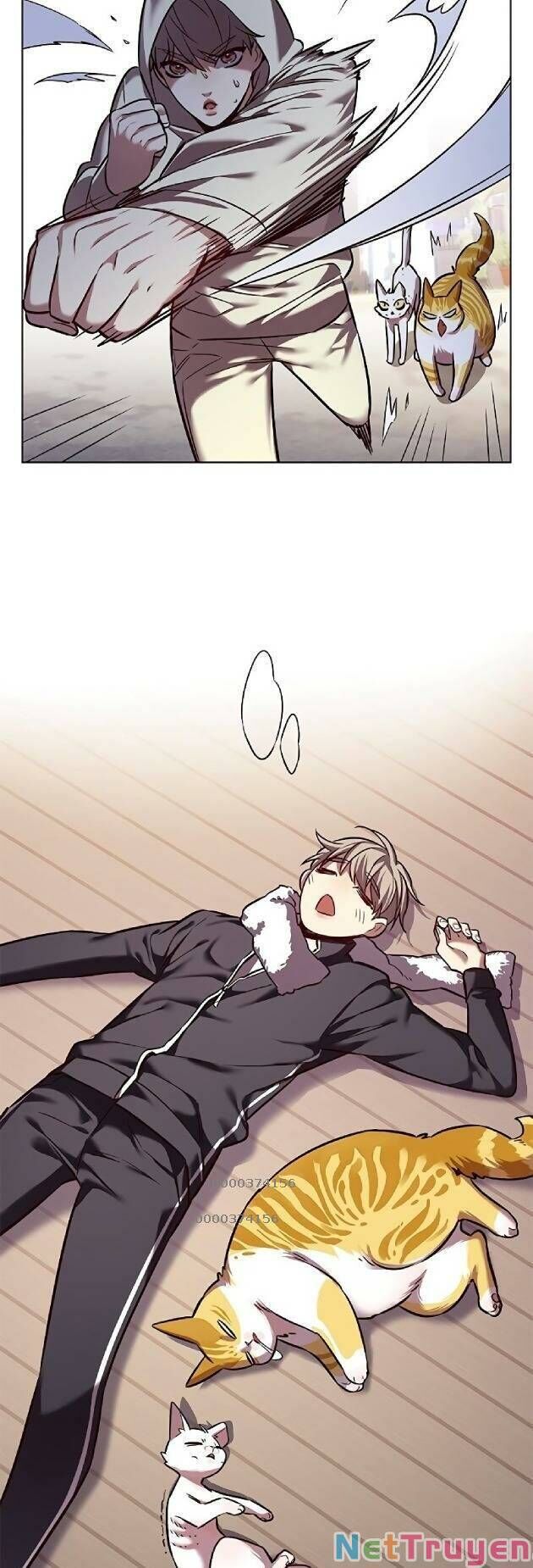 Hoá Thân Thành Mèo Chap 239 - Next Chap 240