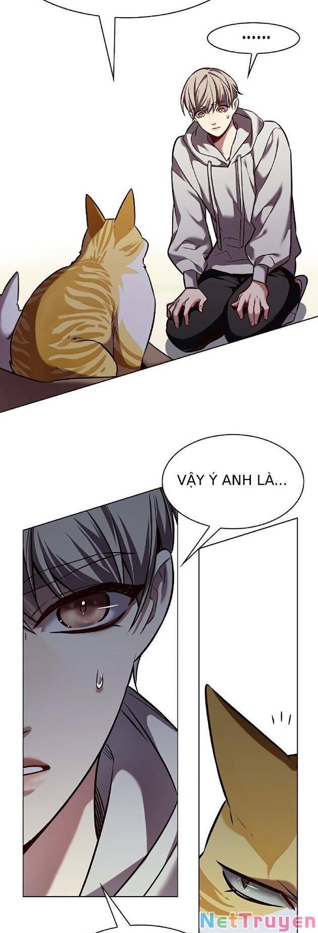 Hoá Thân Thành Mèo Chap 239 - Next Chap 240