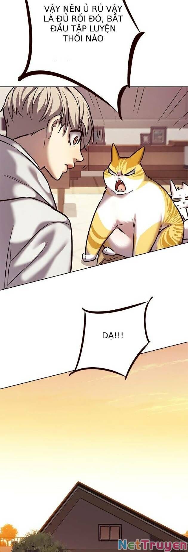 Hoá Thân Thành Mèo Chap 239 - Next Chap 240