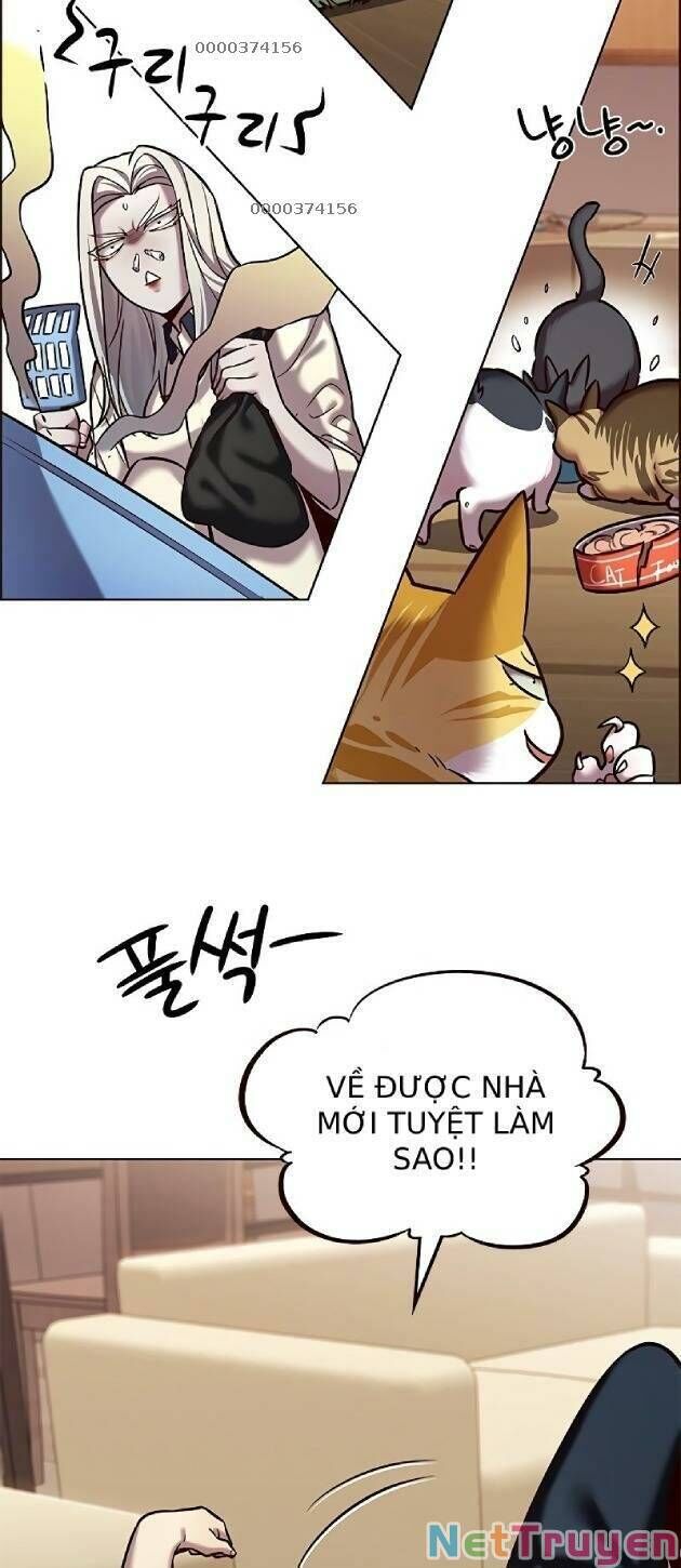 Hoá Thân Thành Mèo Chap 239 - Next Chap 240