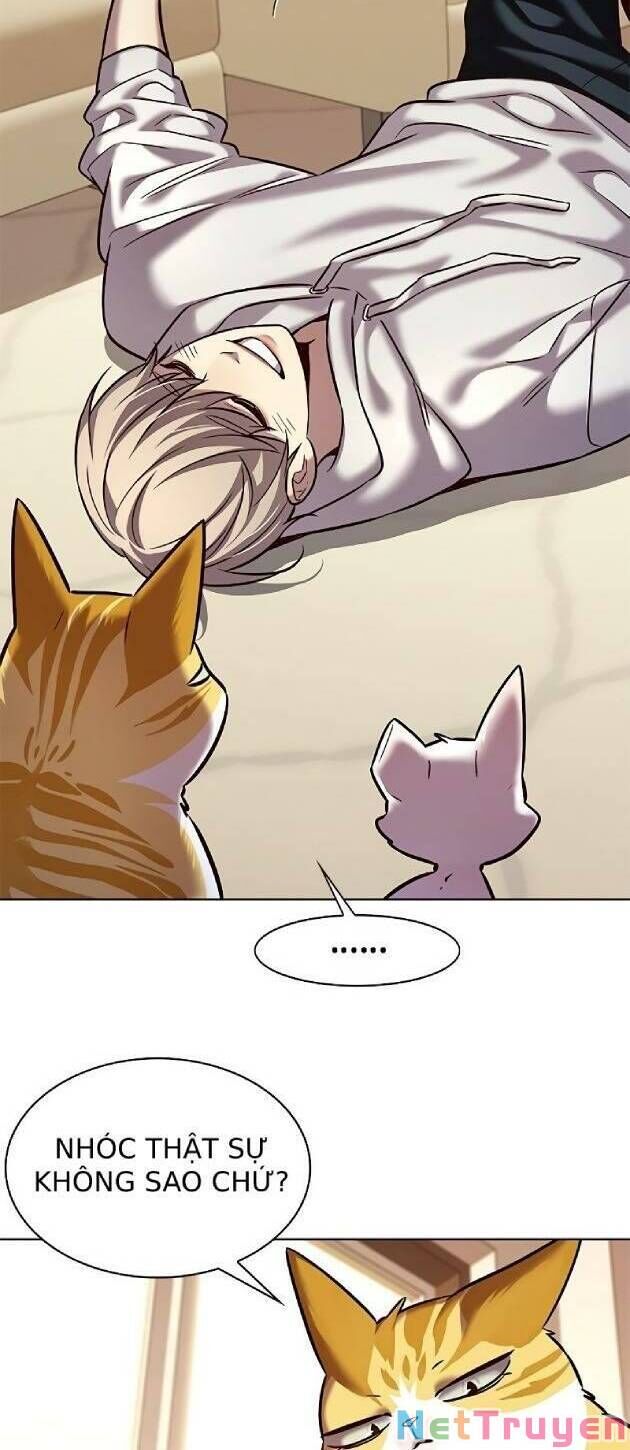 Hoá Thân Thành Mèo Chap 239 - Next Chap 240