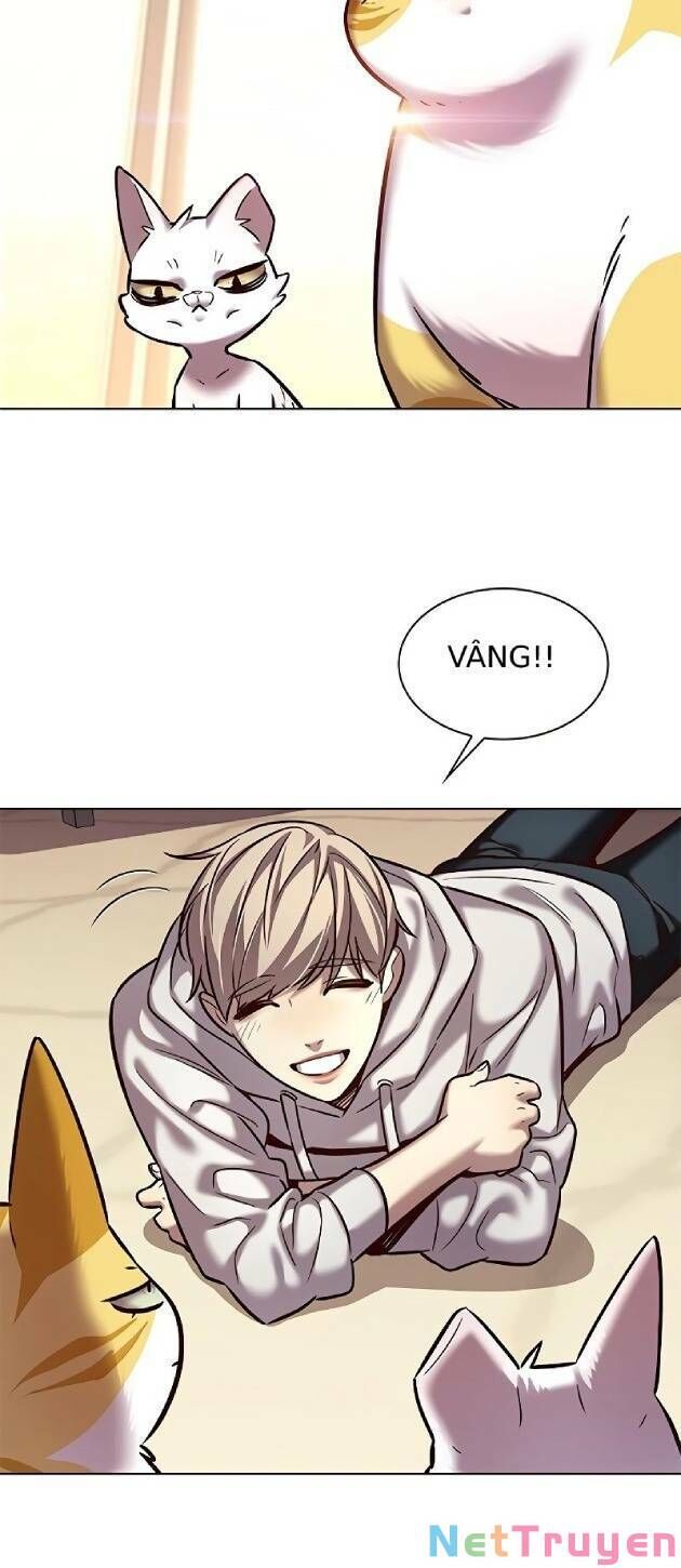 Hoá Thân Thành Mèo Chap 239 - Next Chap 240