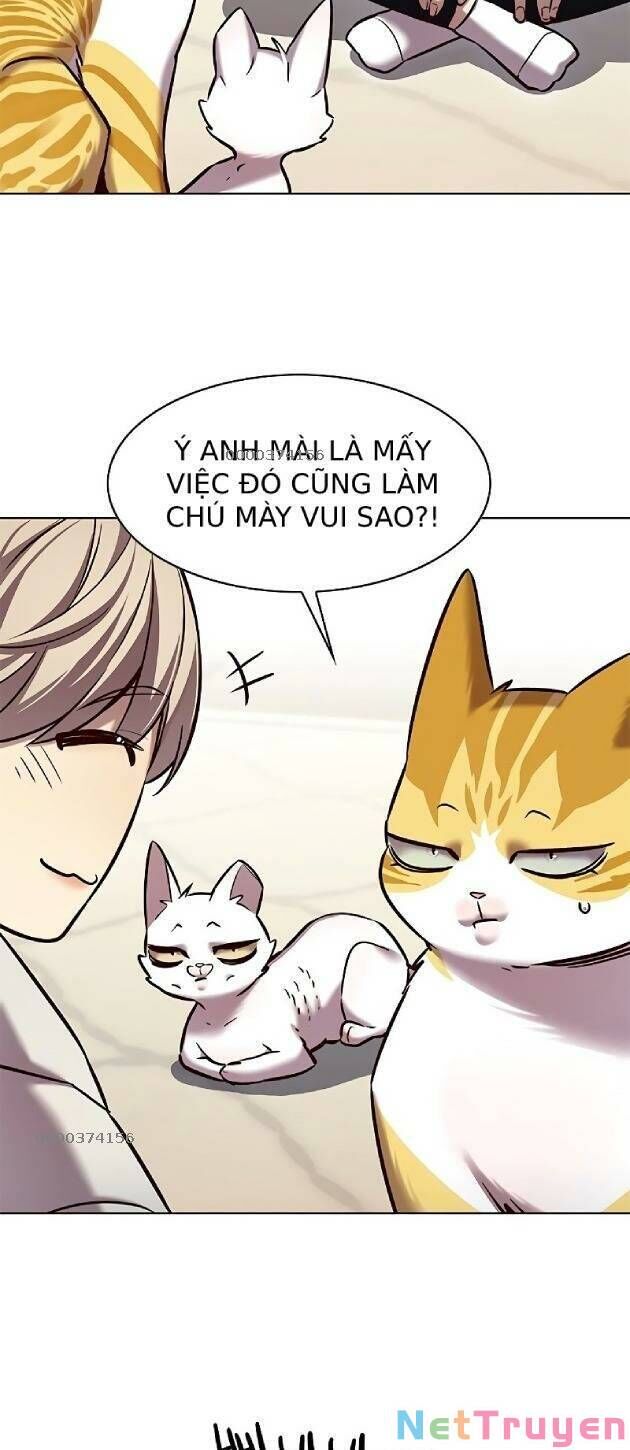 Hoá Thân Thành Mèo Chap 239 - Next Chap 240