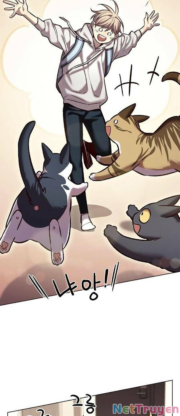 Hoá Thân Thành Mèo Chap 239 - Next Chap 240
