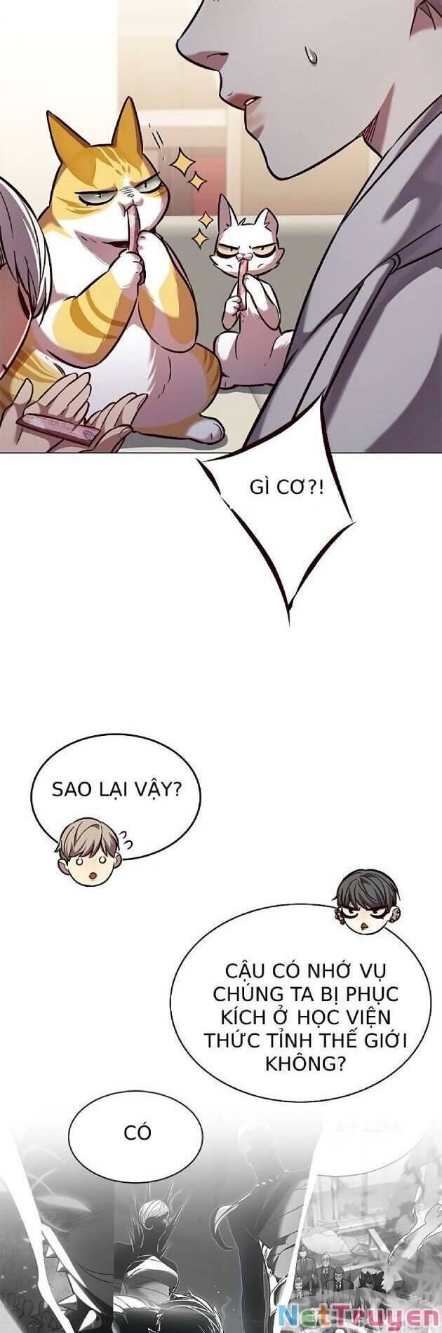 Hoá Thân Thành Mèo Chap 239 - Next Chap 240