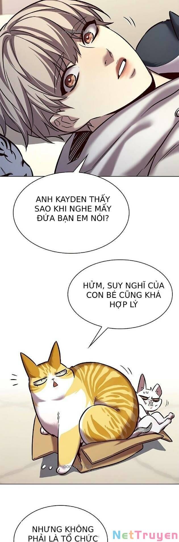 Hoá Thân Thành Mèo Chap 239 - Next Chap 240