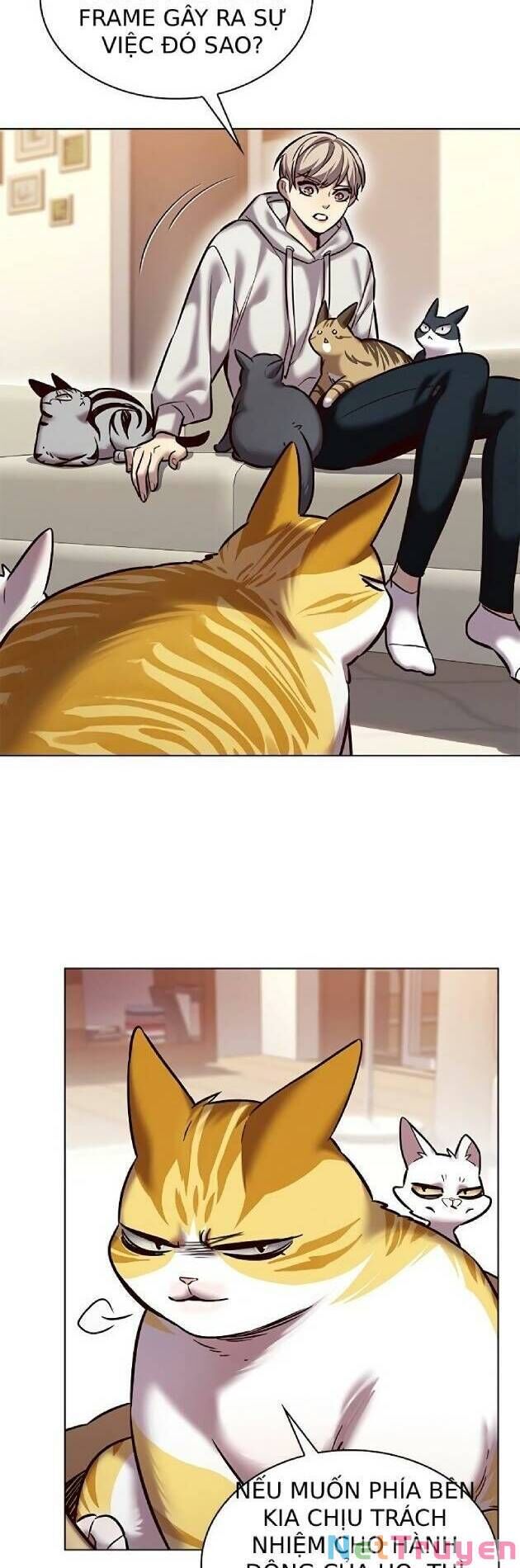 Hoá Thân Thành Mèo Chap 239 - Next Chap 240