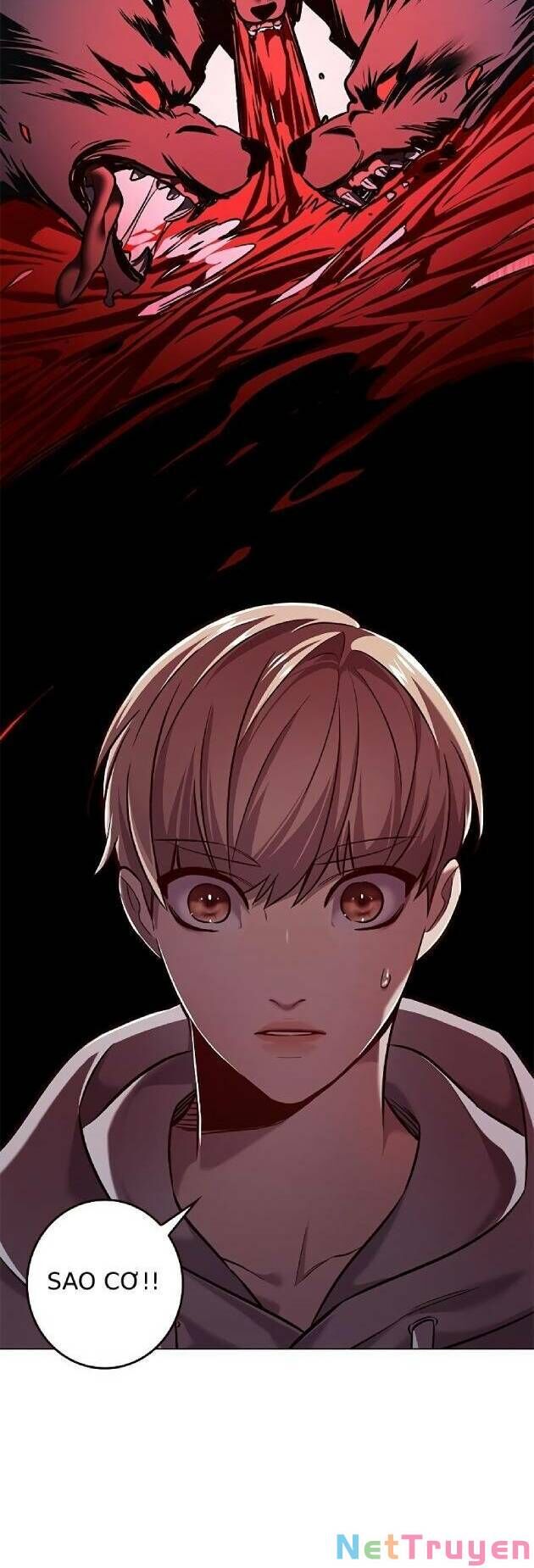 Hoá Thân Thành Mèo Chap 239 - Next Chap 240