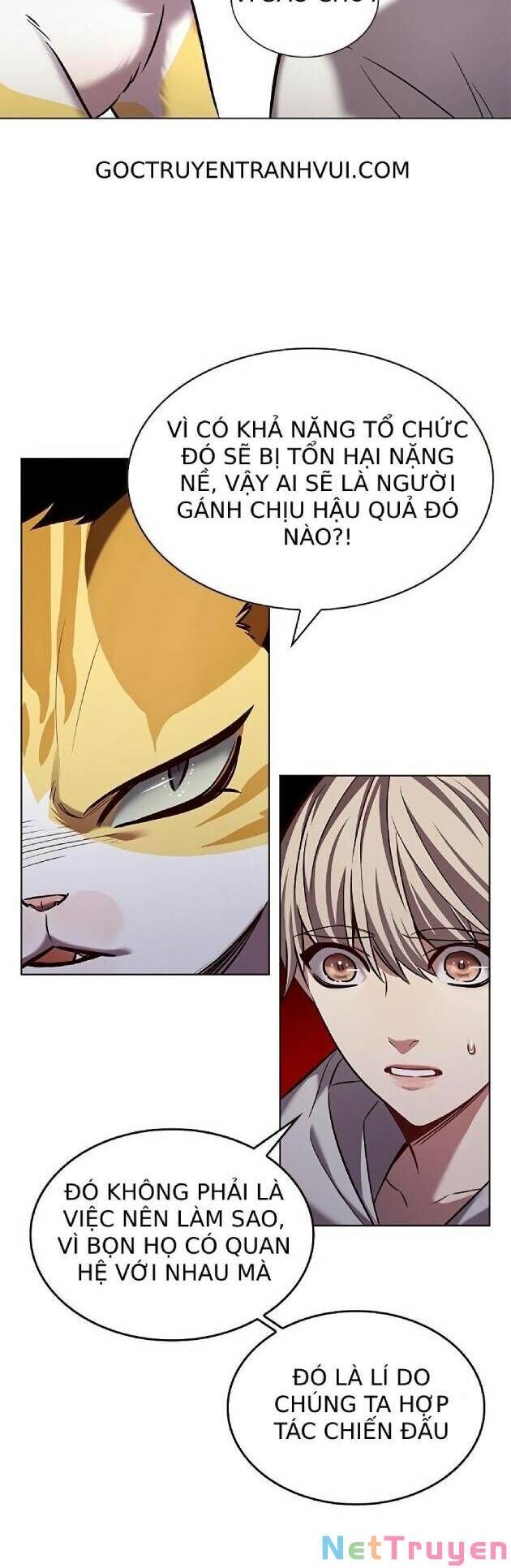 Hoá Thân Thành Mèo Chap 239 - Next Chap 240