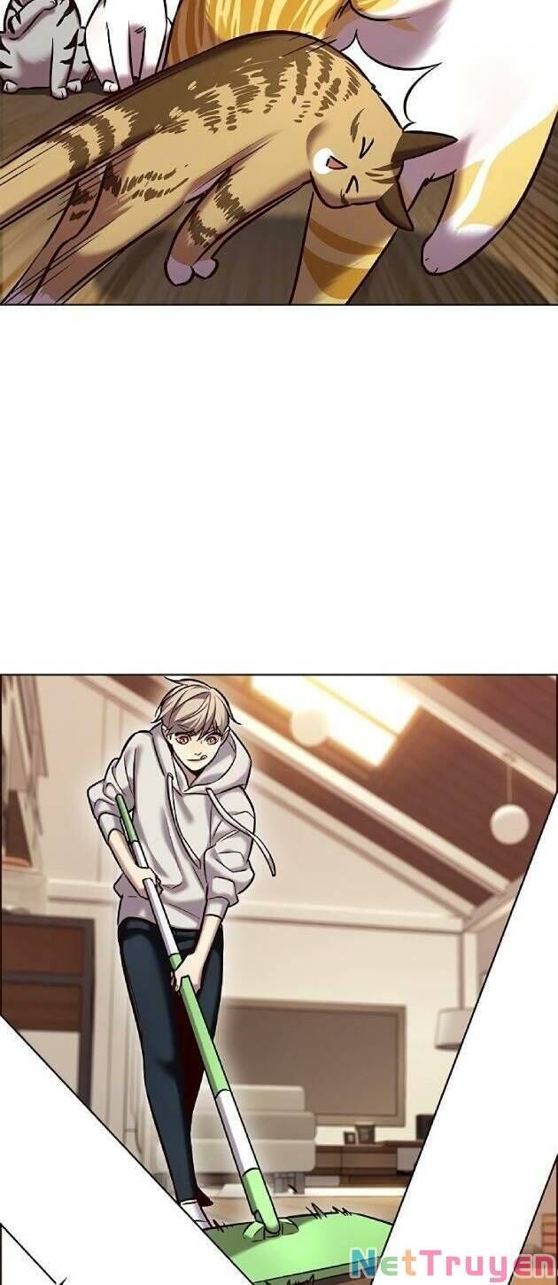 Hoá Thân Thành Mèo Chap 239 - Next Chap 240