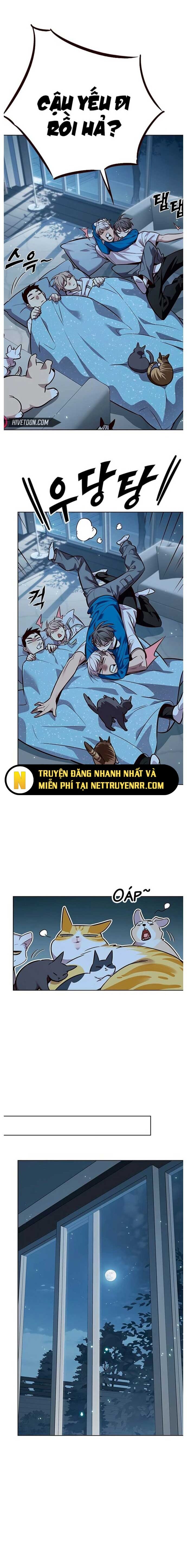 Hoá Thân Thành Mèo Chap 345 - Next Chap 346