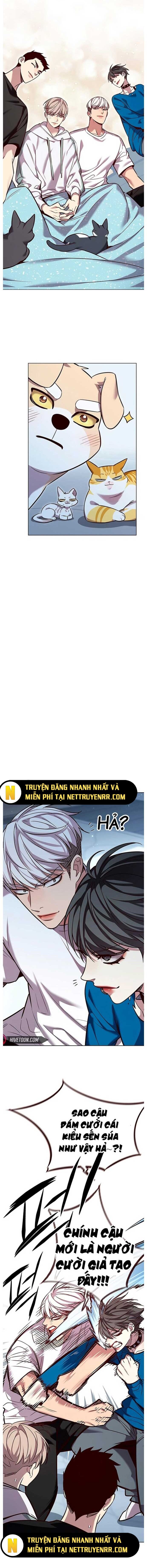 Hoá Thân Thành Mèo Chap 345 - Next Chap 346