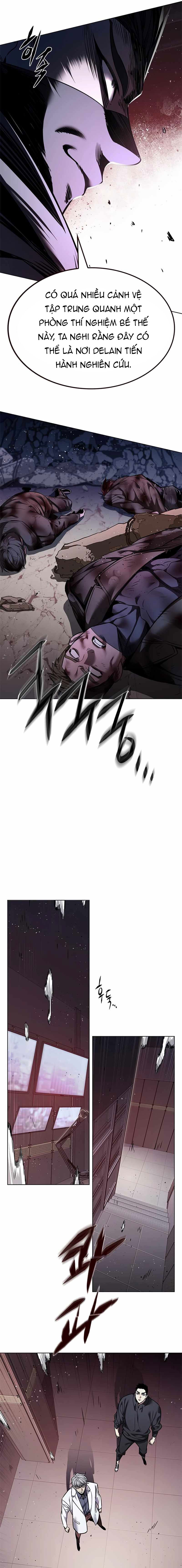 Hoá Thân Thành Mèo Chap 348 - Next Chap 349