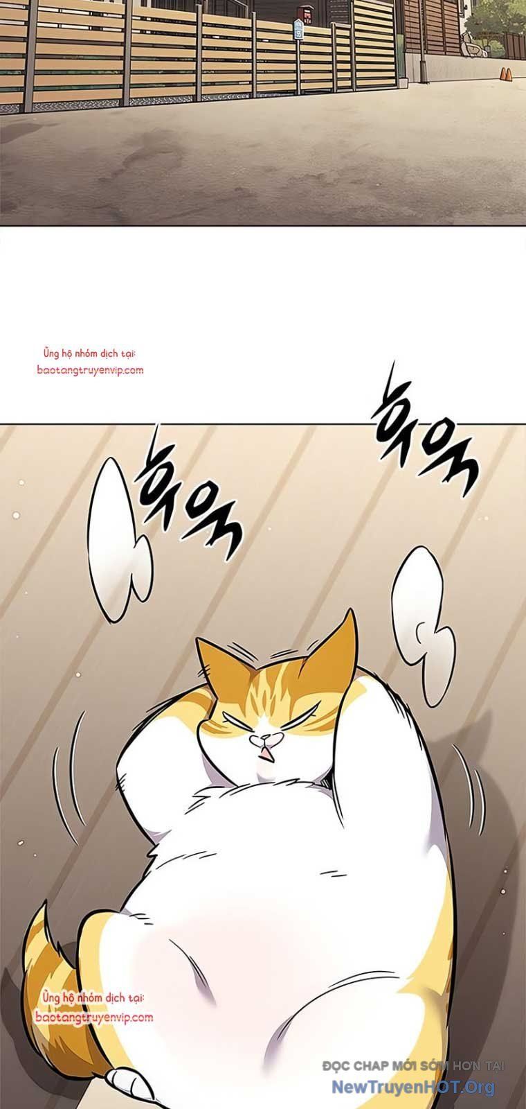 Hoá Thân Thành Mèo Chap 355 - Next Chap 356