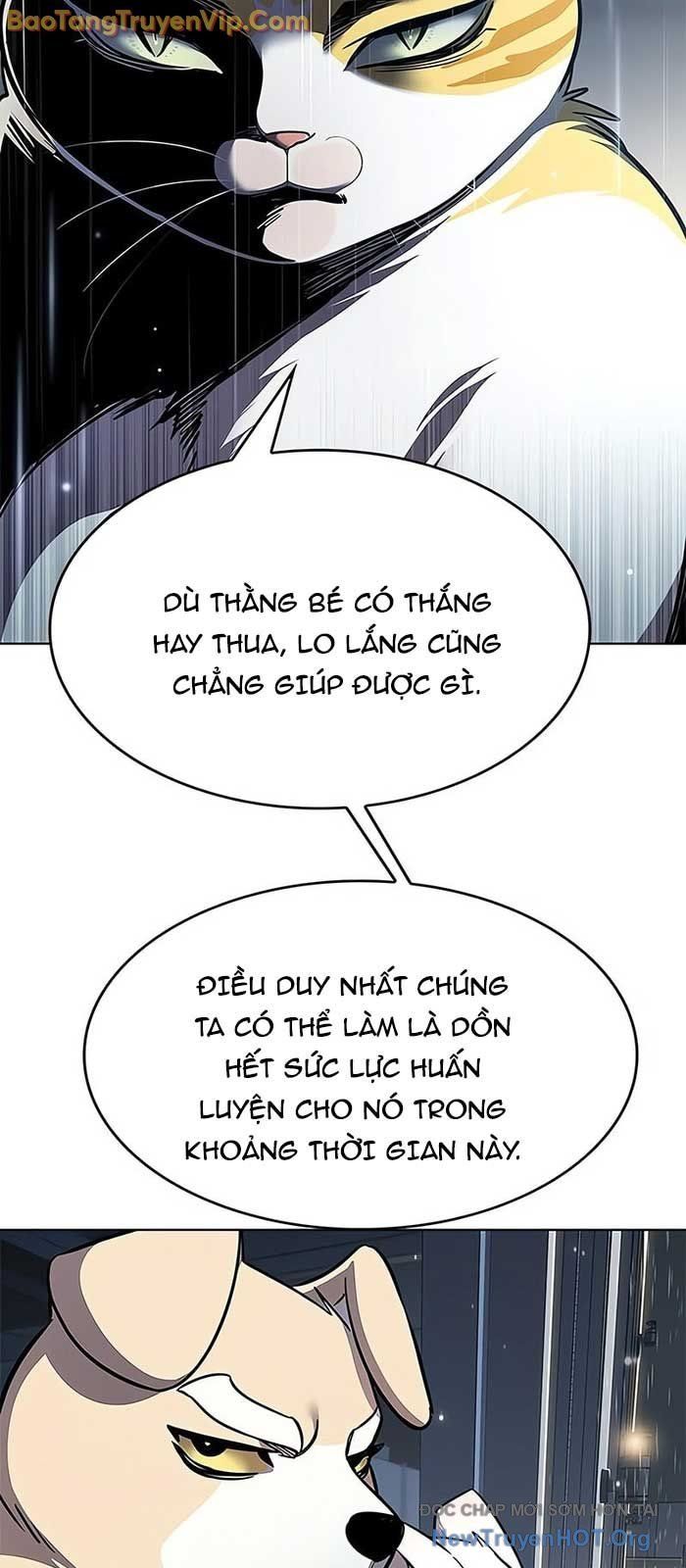 Hoá Thân Thành Mèo Chap 357 - Next Chap 358