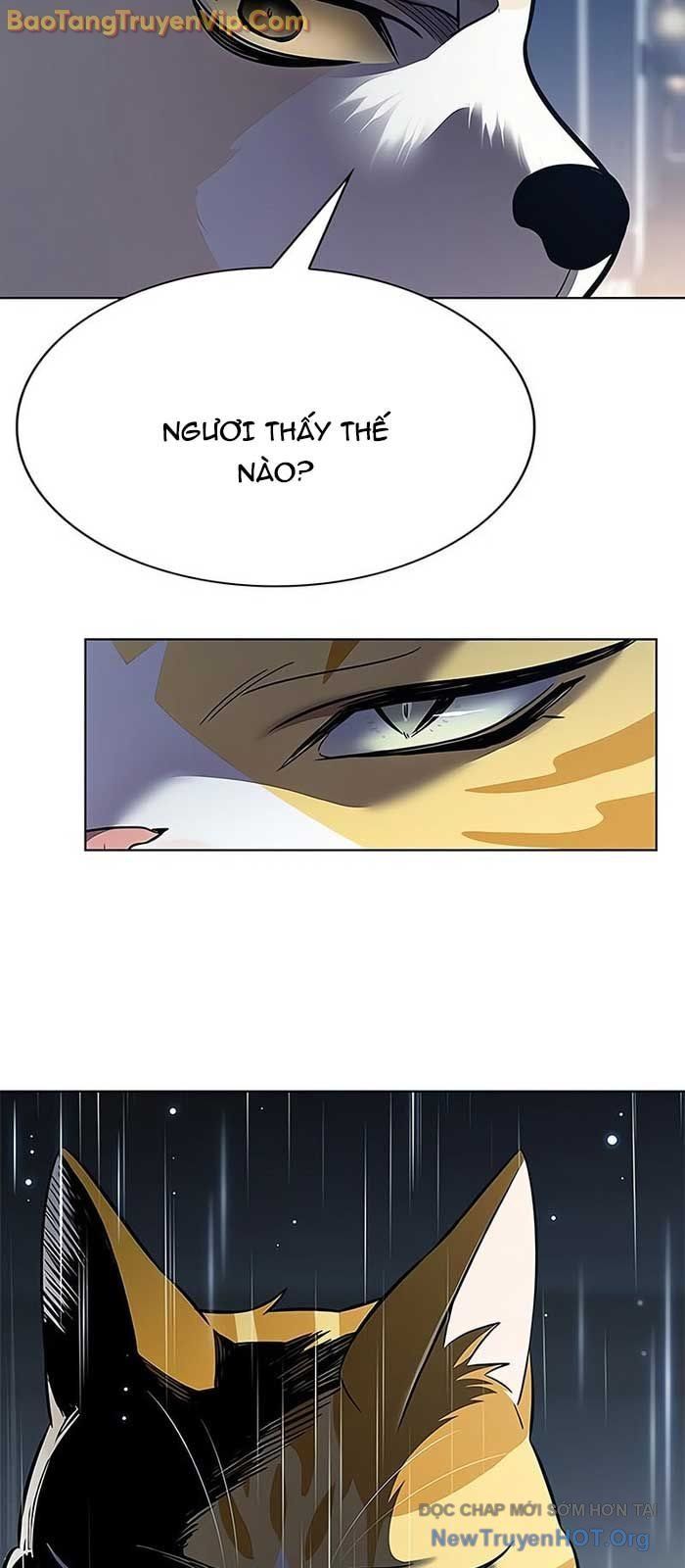 Hoá Thân Thành Mèo Chap 357 - Next Chap 358