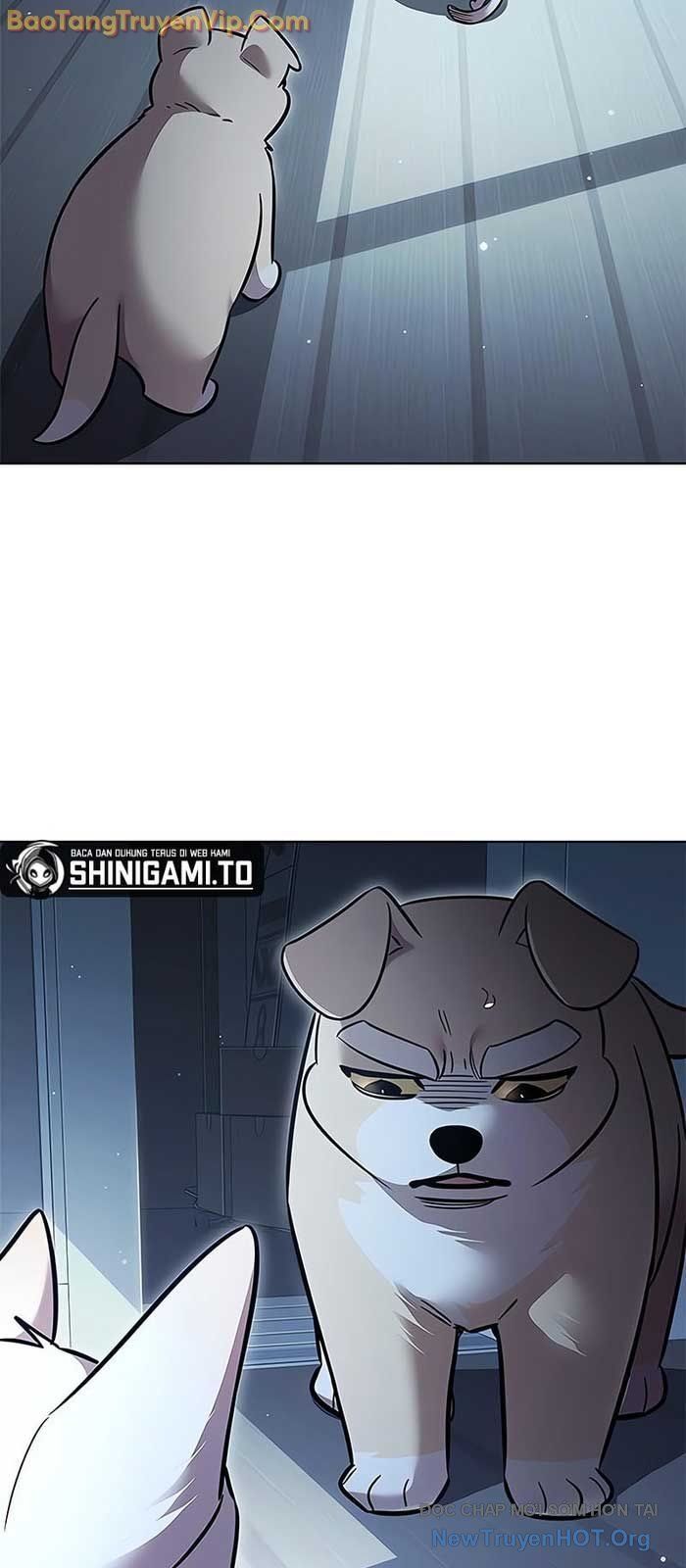 Hoá Thân Thành Mèo Chap 358 - Next Chap 359