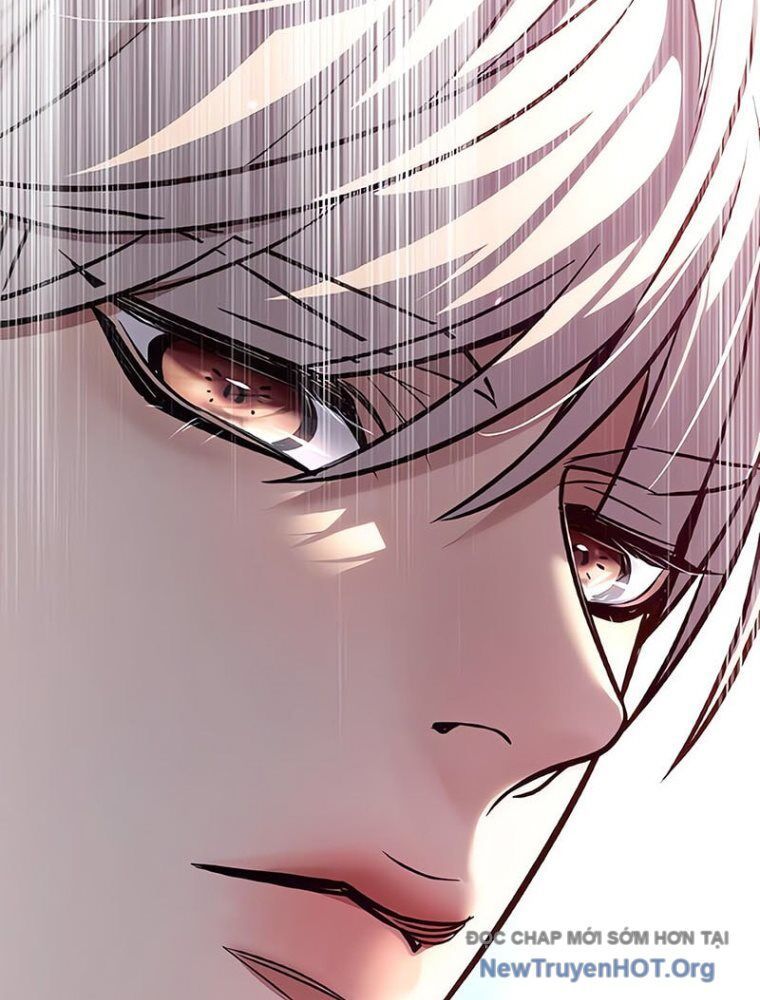 Hoá Thân Thành Mèo Chap 361 - Next Chap 362