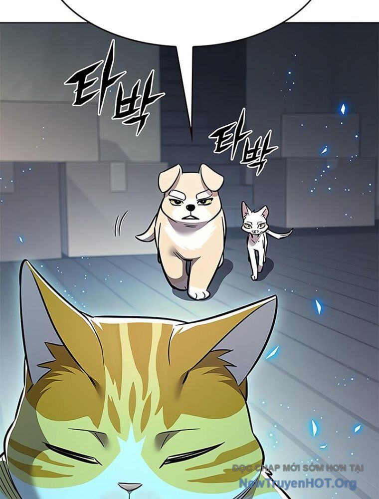 Hoá Thân Thành Mèo Chap 362 - Next Chap 363