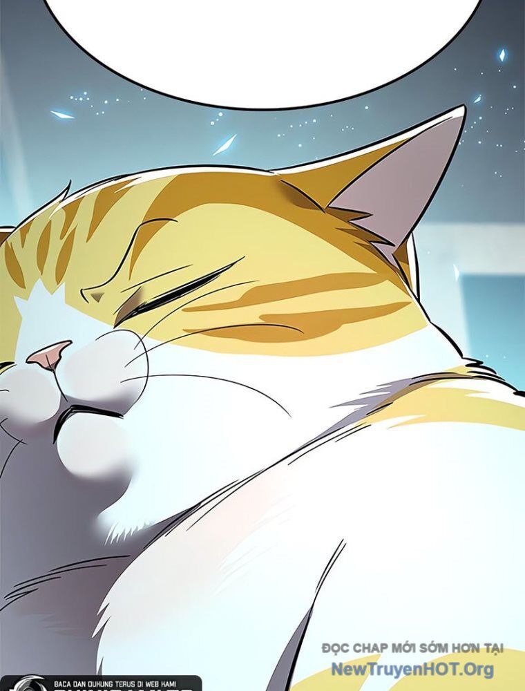 Hoá Thân Thành Mèo Chap 362 - Next Chap 363