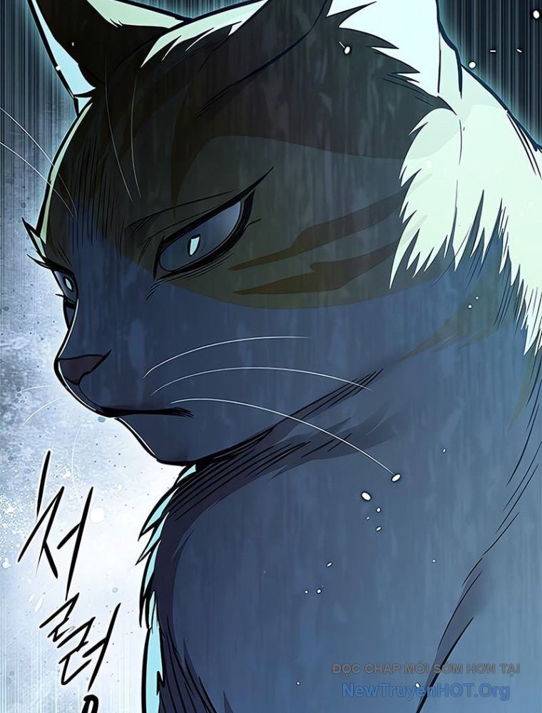 Hoá Thân Thành Mèo Chap 362 - Next Chap 363