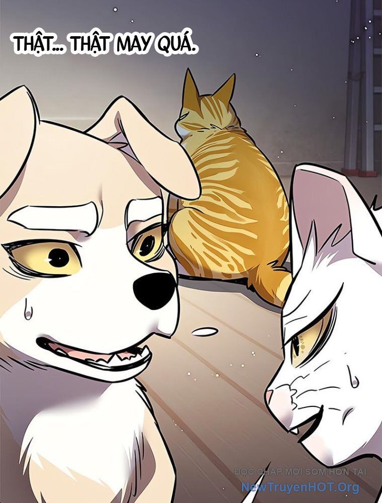 Hoá Thân Thành Mèo Chap 362 - Next Chap 363