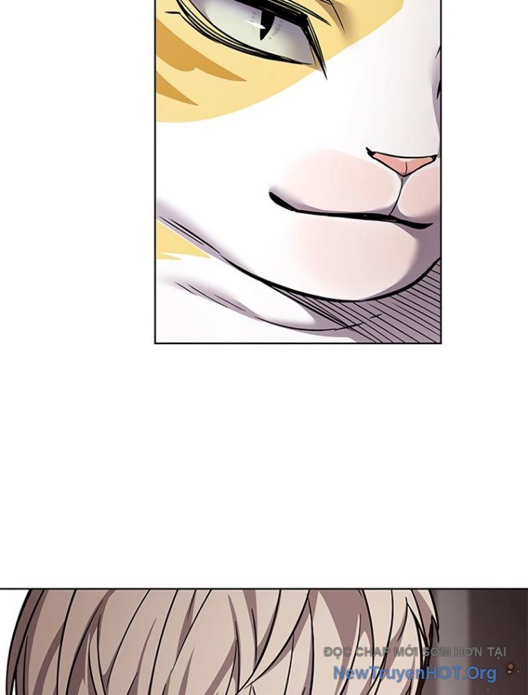 Hoá Thân Thành Mèo Chap 363 - Next Chap 364