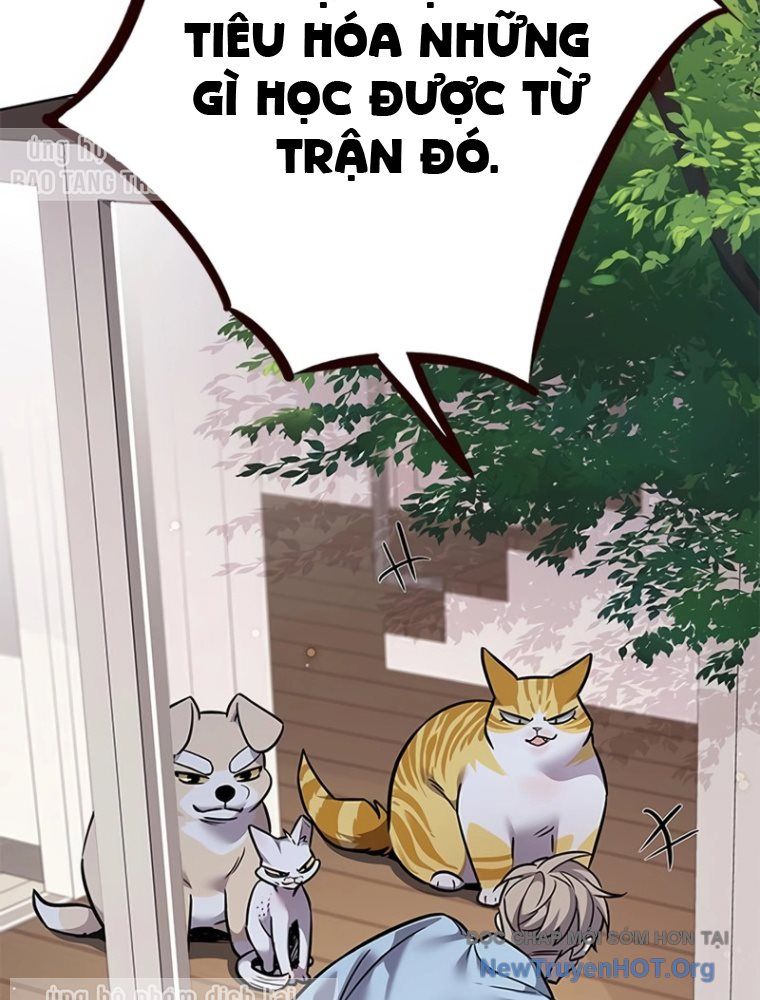 Hoá Thân Thành Mèo Chap 363 - Next Chap 364