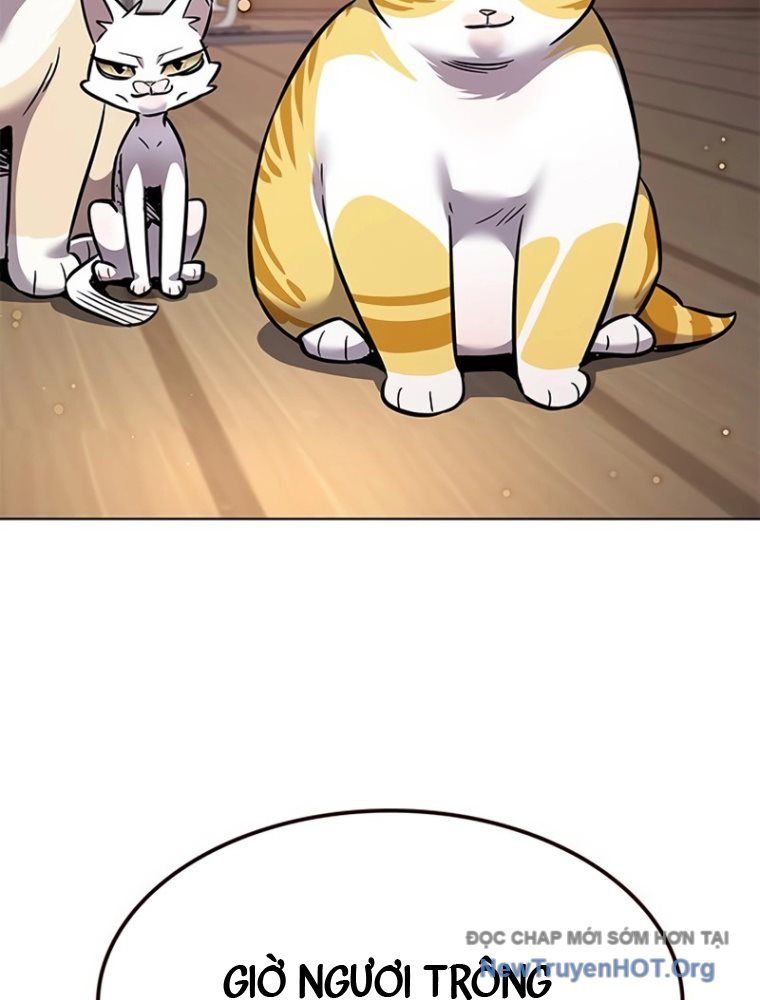Hoá Thân Thành Mèo Chap 363 - Next Chap 364