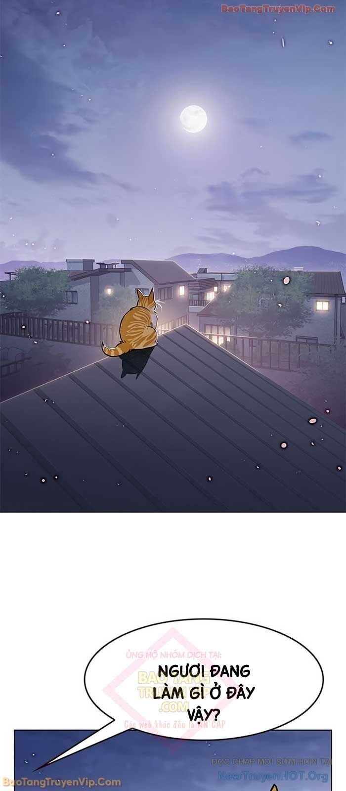 Hoá Thân Thành Mèo Chap 364 - Next Chap 365