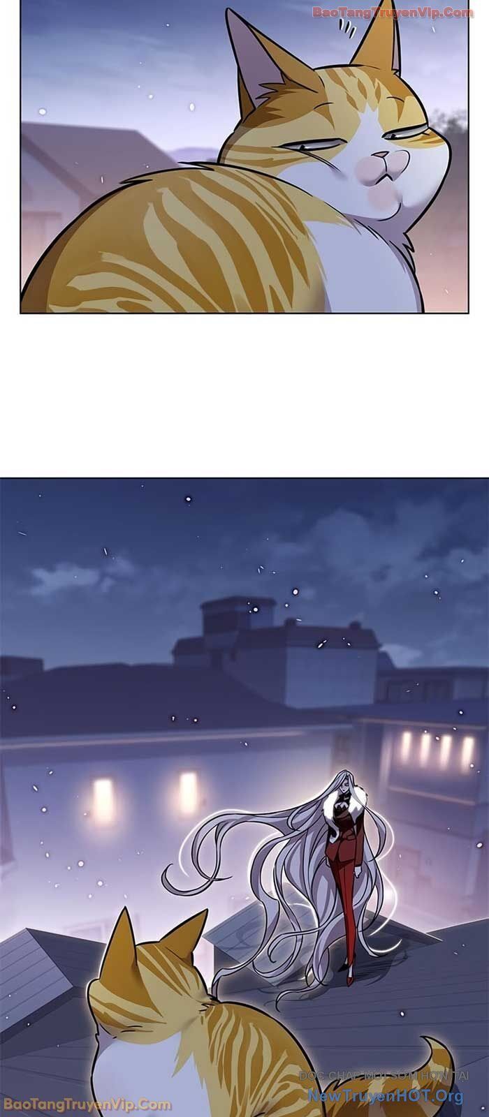 Hoá Thân Thành Mèo Chap 364 - Next Chap 365