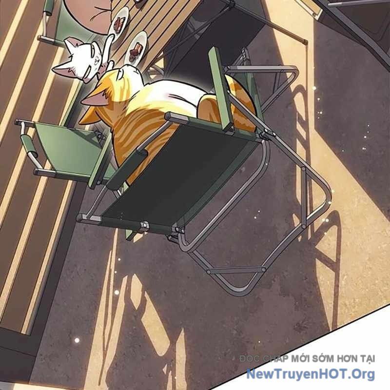 Hoá Thân Thành Mèo Chap 366 - Next Chap 367