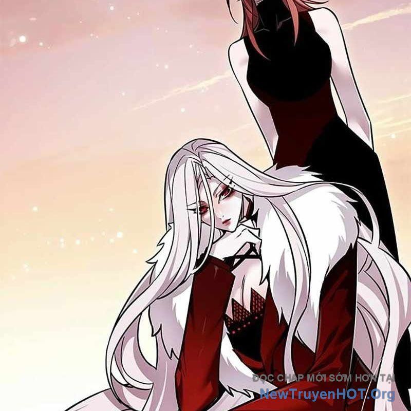 Hoá Thân Thành Mèo Chap 366 - Next Chap 367