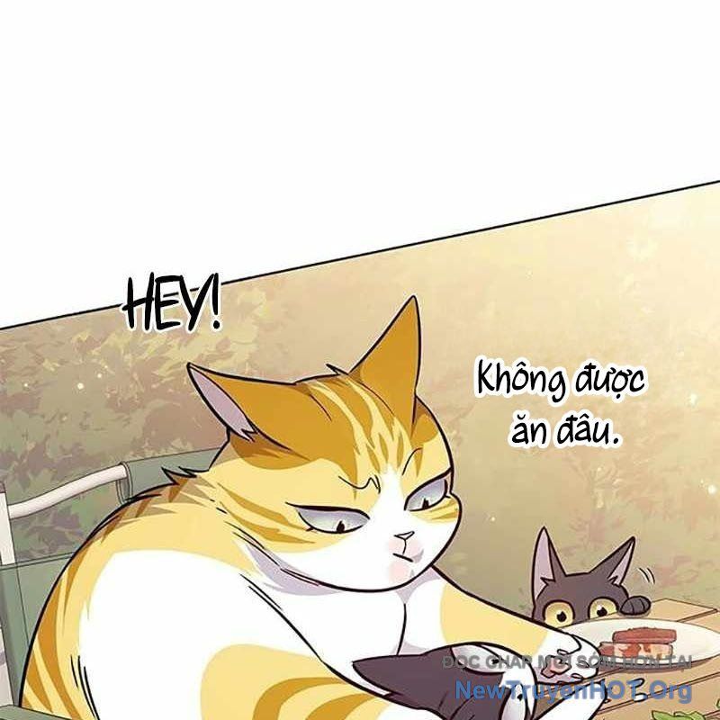 Hoá Thân Thành Mèo Chap 366 - Next Chap 367