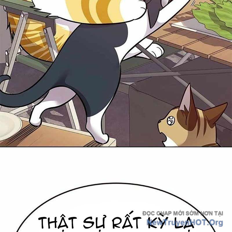 Hoá Thân Thành Mèo Chap 366 - Next Chap 367