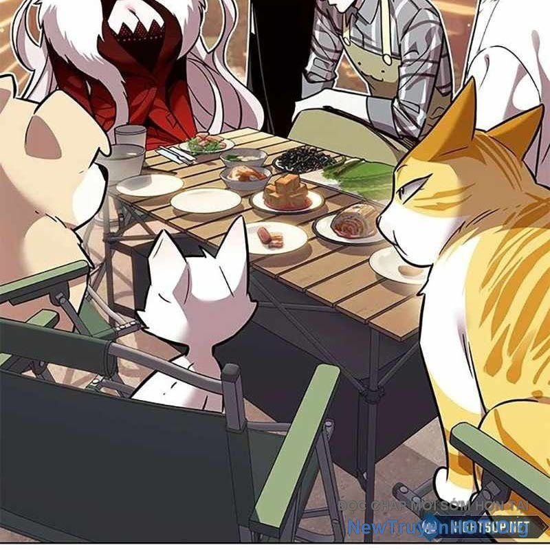 Hoá Thân Thành Mèo Chap 366 - Next Chap 367