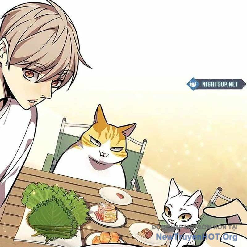 Hoá Thân Thành Mèo Chap 366 - Next Chap 367