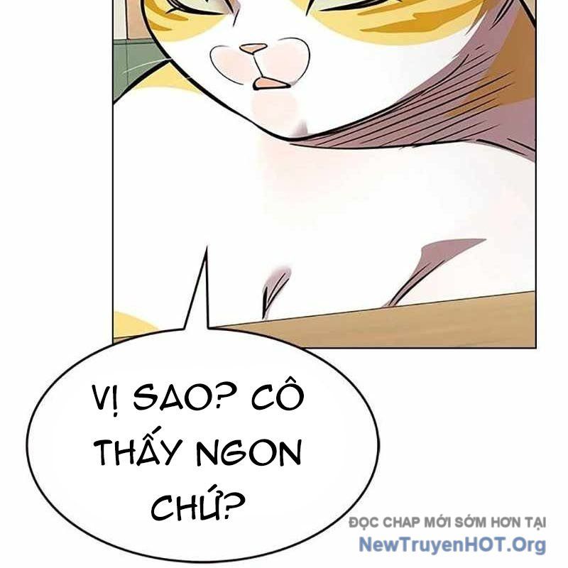 Hoá Thân Thành Mèo Chap 366 - Next Chap 367