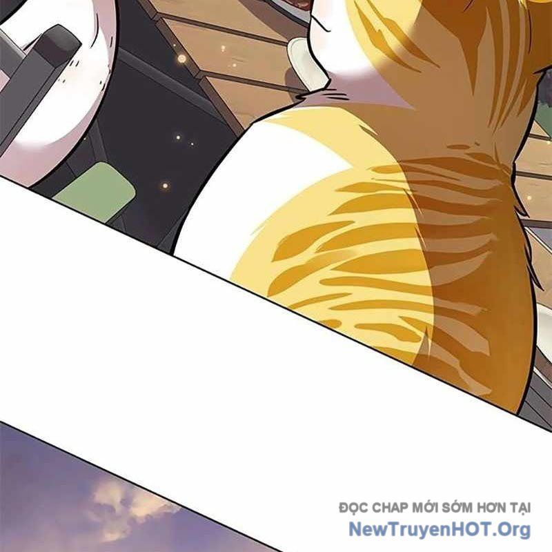 Hoá Thân Thành Mèo Chap 366 - Next Chap 367