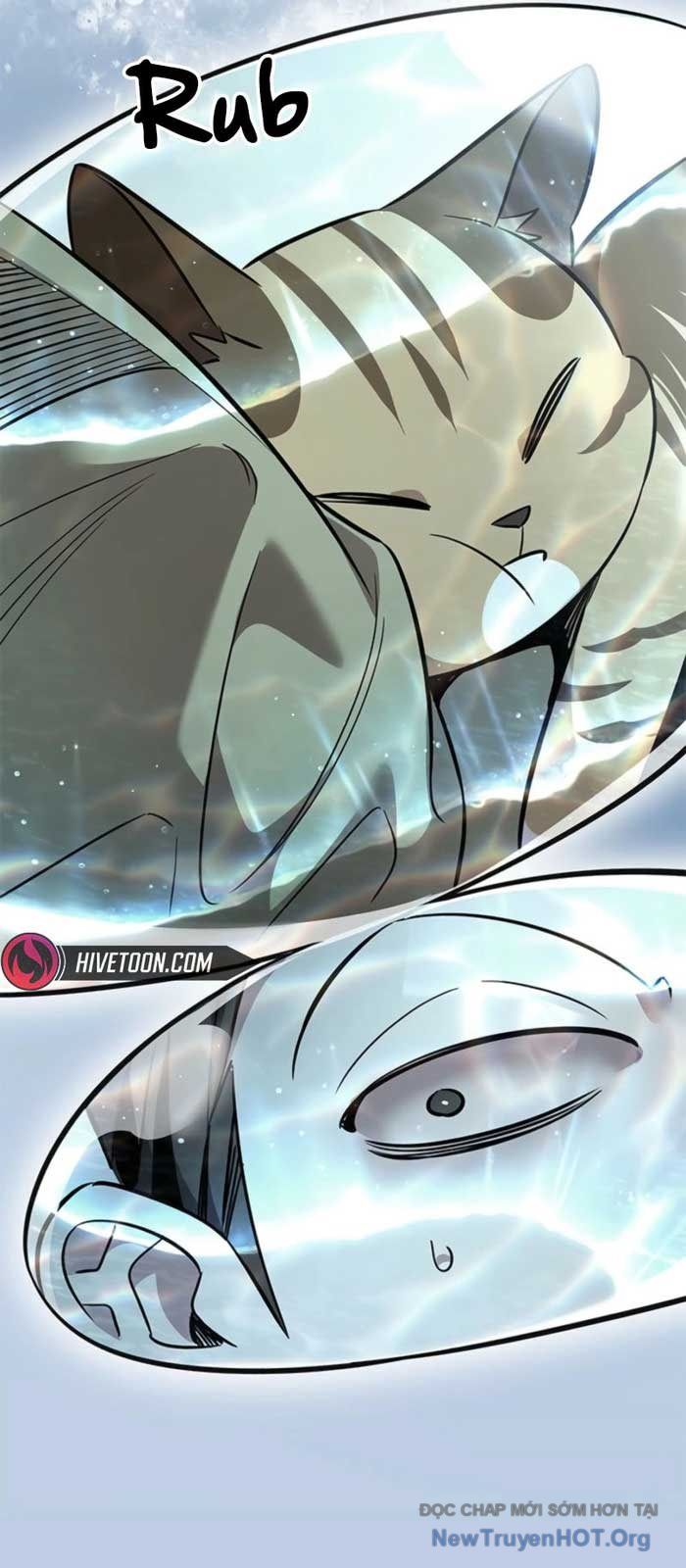 Hoá Thân Thành Mèo Chap 368 - Next Chap 369