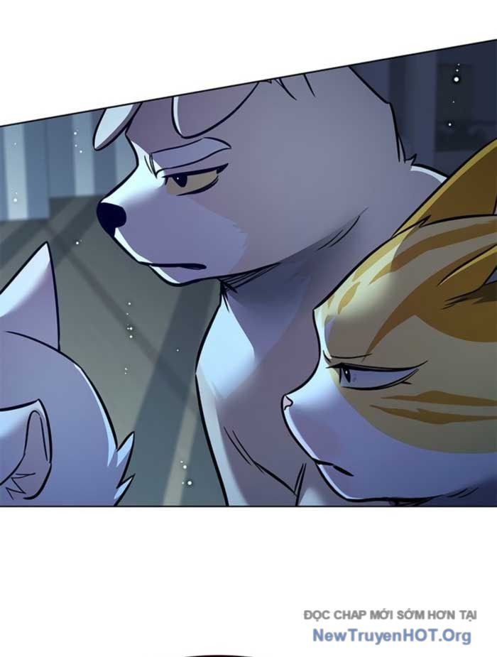 Hoá Thân Thành Mèo Chap 369 - Next Chap 370