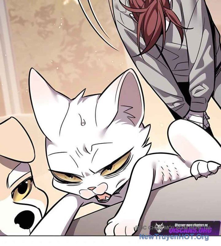 Hoá Thân Thành Mèo Chap 370 - Next Chap 371