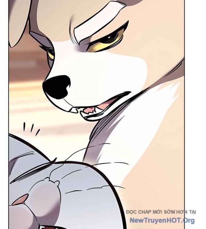 Hoá Thân Thành Mèo Chap 370 - Next Chap 371