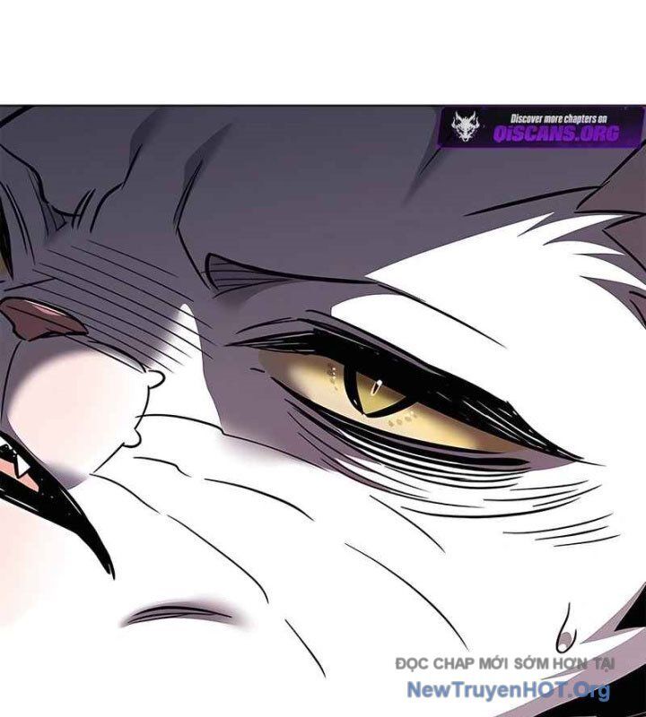 Hoá Thân Thành Mèo Chap 370 - Next Chap 371